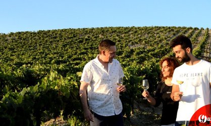 Sherry Experience in the Vineyard
