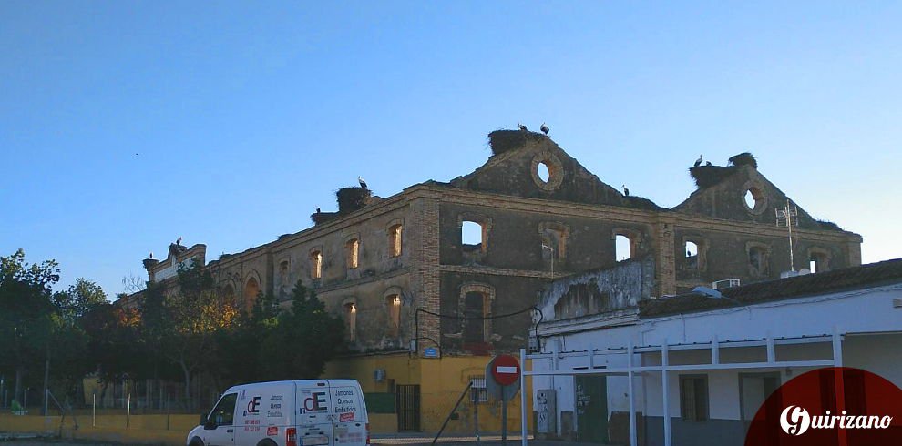 Störche in Jerez, Cádiz