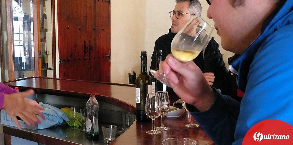 Führung durch Bodega mit Weinprobe guirizano vino 46 rp.jpg